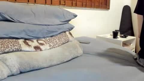 DigBreed online show from November 11, 7:46 am