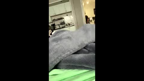 moethecheater7 online show from February 8, 2:21 pm