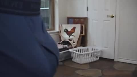 monkeyspank82 online show from October 25, 8:54 pm