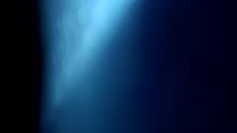 moos1 online show from February 12, 6:52 am