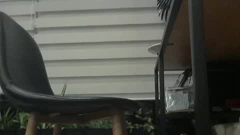 motofann2 online show from January 11, 3:23 am