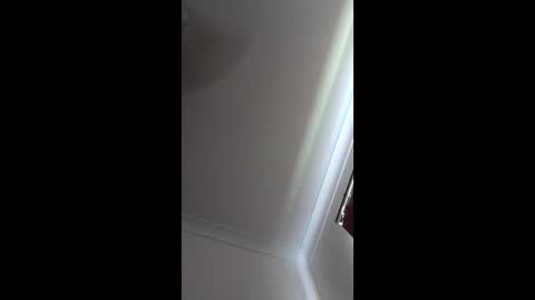 mparty835 online show from February 27, 2:35 am