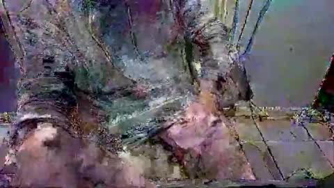 mppempis81 online show from January 31, 7:11 pm