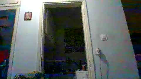 mppempis81 online show from November 22, 4:28 pm