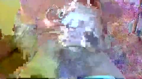 Snapshot of mr_cucumber chatting on October 26, 9:00 am mr_cucumber online show from October 26, 9:00 am