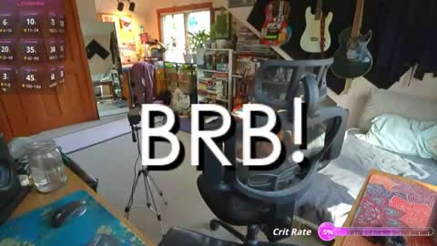 ninko online show from November 20, 3:00 pm