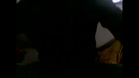 mrjoy2025 online show from November 17, 6:44 pm