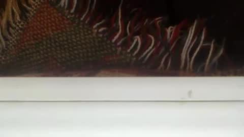 mrmajor87 online show from November 9, 5:55 am