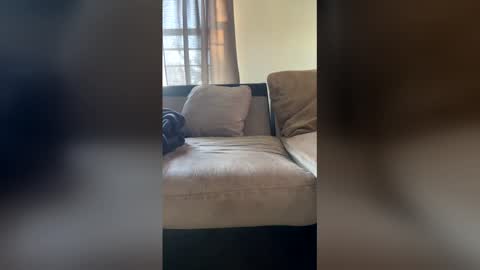 mt visuals online show from December 18, 12:12 pm