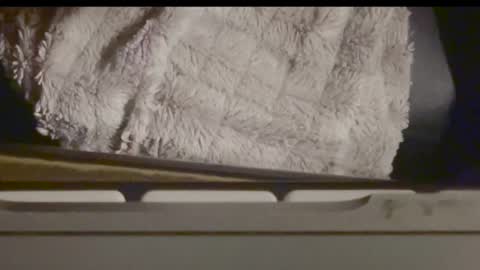 mybbcforyou_ online show from December 16, 10:00 am