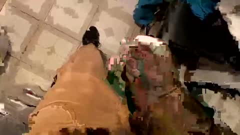 nairda2senoniuq online show from February 12, 1:37 pm