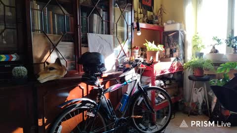 Naked Naturist online show from April 6, 6:47 am