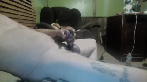 ned is naughty online show from March 7, 10:24 am