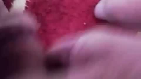 Snapshot of newbookwriter chatting on February 26, 6:15 am BookWriter online show from February 26, 6:15 am