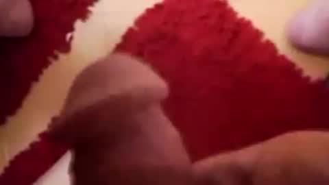 Snapshot of newbookwriter chatting on December 28, 8:16 am BookWriter online show from December 28, 8:16 am