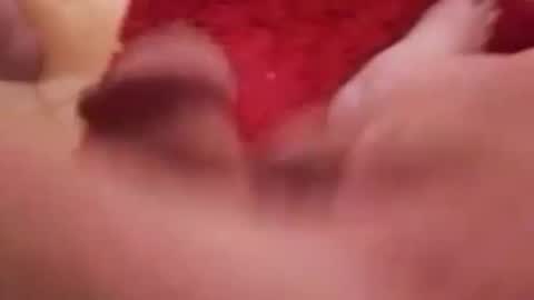 Snapshot of newbookwriter chatting on March 7, 7:30 am BookWriter online show from March 7, 7:30 am