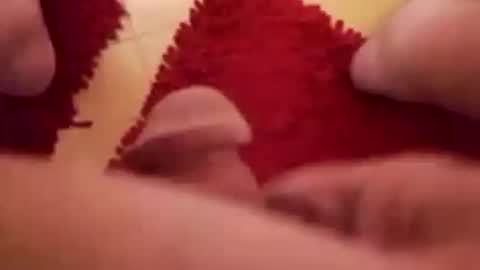 Snapshot of newbookwriter chatting on December 26, 6:30 am BookWriter online show from December 26, 6:30 am