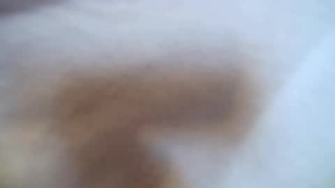 nicedick25plus online show from June 7, 5:58 am