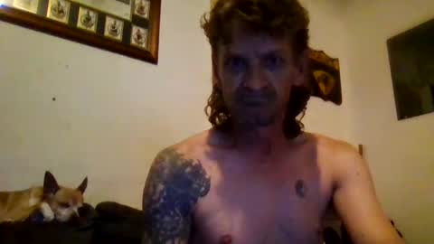 Snapshot of niceozziecockxxx chatting on February 13, 10:00 pm Sexiishaine online show from February 13, 10:00 pm