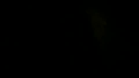 nikjsls online show from January 19, 12:57 am