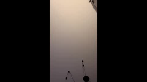 neighbours online show from January 16, 12:13 am