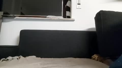 niksdick2121 online show from February 8, 3:23 am