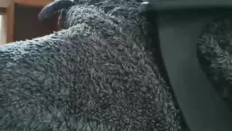 nineinchhard online show from April 9, 9:15 am