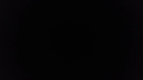 Ninjadance online show from February 4, 8:24 am