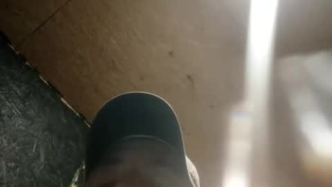 nj695457 online show from June 7, 6:42 am