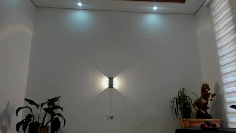 LIAM- noah online show from February 5, 1:51 pm