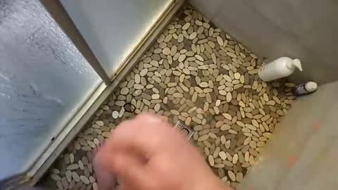 notme710 online show from December 20, 12:56 pm