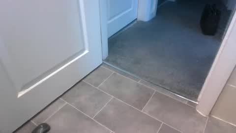 TheDee online show from January 12, 3:05 pm