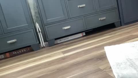 onthedlhere online show from February 21, 9:00 pm