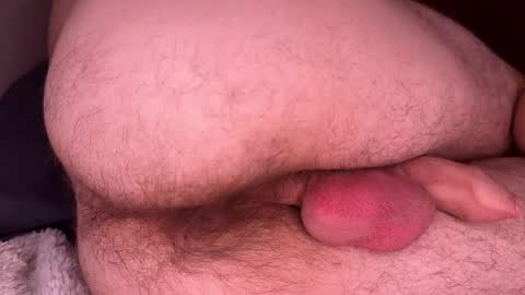 origamicat online show from November 13, 8:35 pm