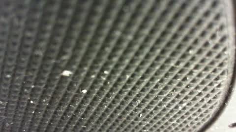 Pablo Meness online show from February 4, 9:41 pm