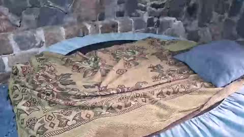 pablouyu online show from January 18, 3:03 pm