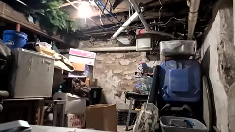 Eros online show from February 6, 5:37 am