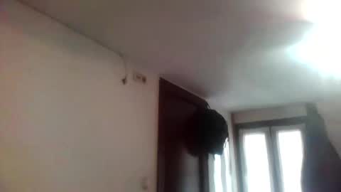 palajaynape online show from November 30, 11:45 am