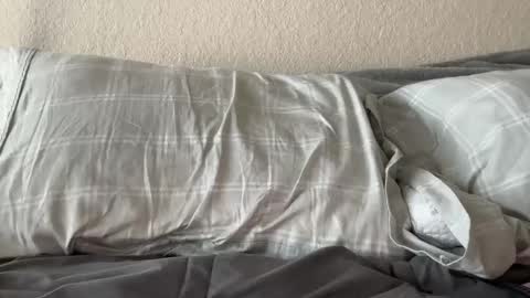 El wolf online show from October 16, 12:24 pm