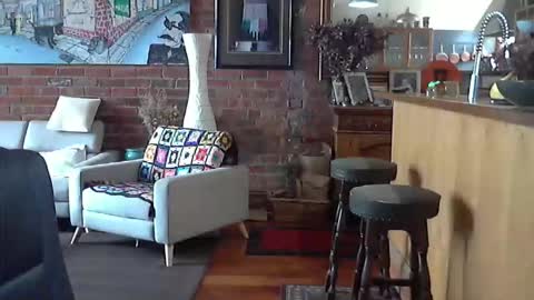 patvac online show from March 31, 11:50 pm