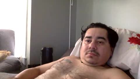 perro2010joshua online show from January 11, 3:52 pm