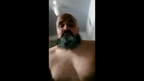 petlouco online show from April 22, 7:57 am