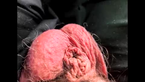 petrol63102 online show from February 16, 4:38 pm