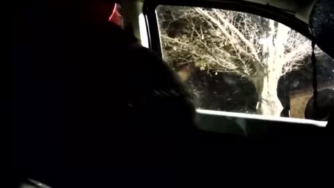 phillipdee online show from February 1, 10:03 am