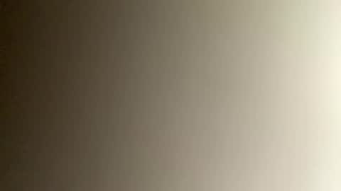 Bee online show from December 3, 10:51 pm