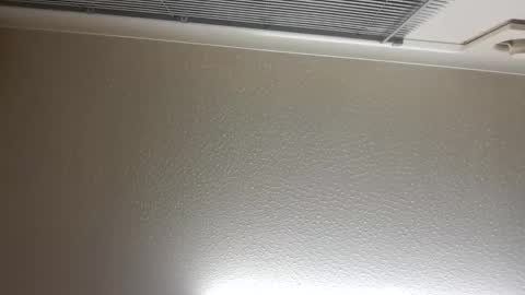 Snapshot of pretty_boy_jack chatting on February 14, 2:50 am pretty_boy_jack online show from February 14, 2:50 am