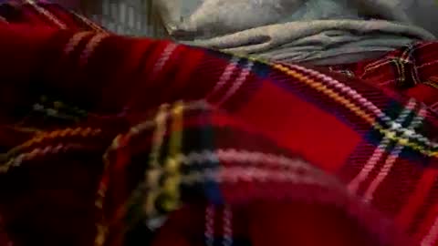 Snapshot of pretty_boy_jack chatting on December 12, 4:04 am pretty_boy_jack online show from December 12, 4:04 am