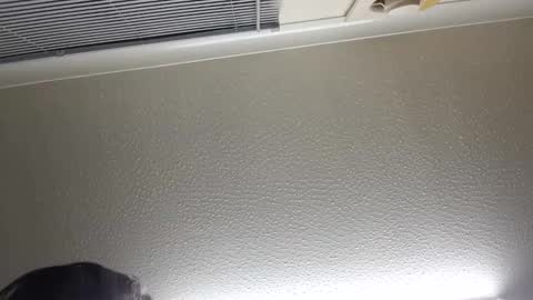 Snapshot of pretty_boy_jack chatting on December 22, 11:42 pm pretty_boy_jack online show from December 22, 11:42 pm