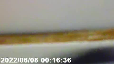 Snapshot of pretty_boy_jack chatting on February 12, 2:56 am pretty_boy_jack online show from February 12, 2:56 am