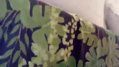 Snapshot of pretty_boy_jack chatting on January 8, 1:00 am pretty_boy_jack online show from January 8, 1:00 am